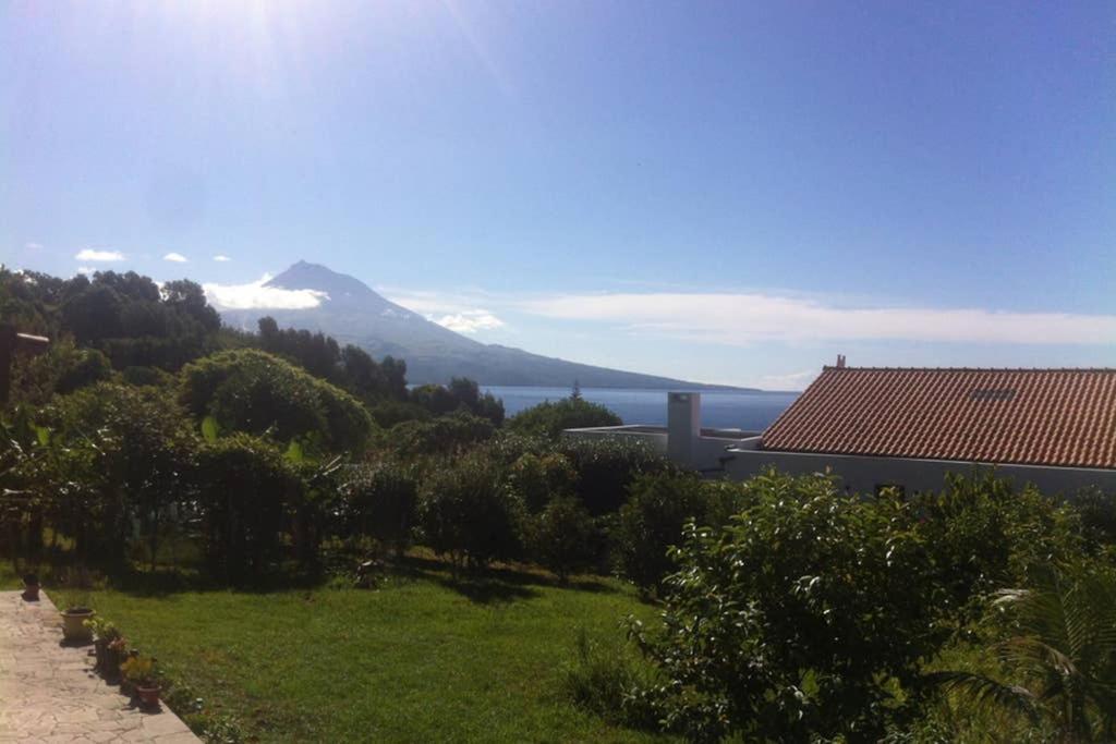 Summer House With Bbq And Garden Орта Екстер'єр фото
